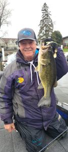 Largemouth Bass from Lake Geneva